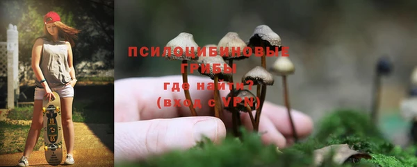 герыч Няндома
