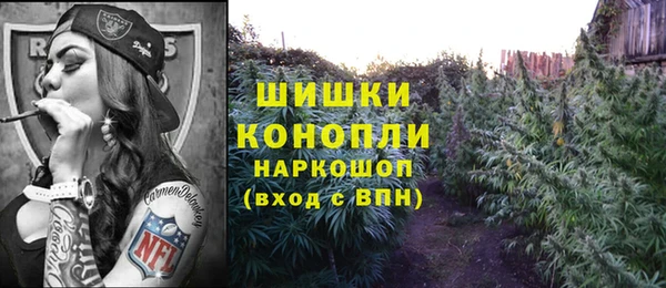 spice Нязепетровск