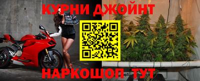 гидра Гусь-Хрустальный