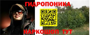 таблы Гусев