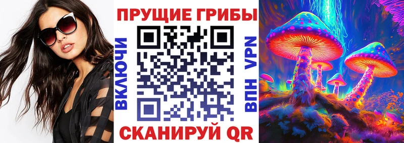 KRAKEN как войти  Зима  Галлюциногенные грибы мицелий 