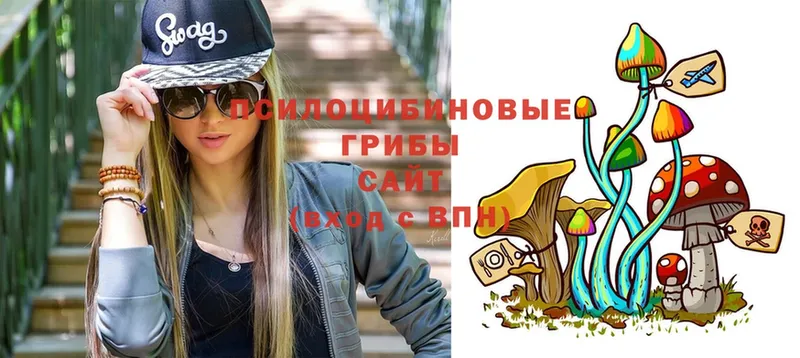 даркнет Telegram  что такое   Зима  Галлюциногенные грибы Psilocybe 