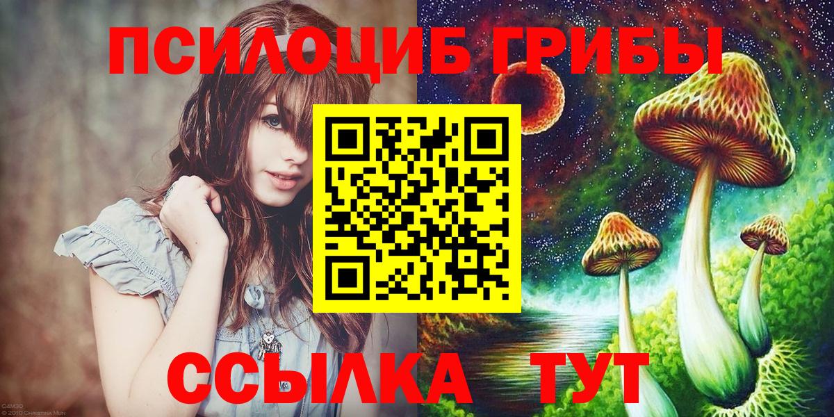 Галлюциногенные грибы Magic Shrooms Зима