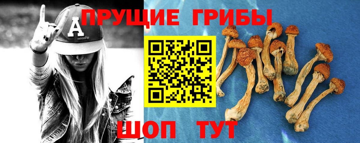 Меф МЯУ МЯУ кристаллы  МЕФ  МЕТАМФЕТАМИН  Зима  A PVP СОЛЬ кристаллы  ГАШИШ  Гашиш  Конопля  Вход с VPN 