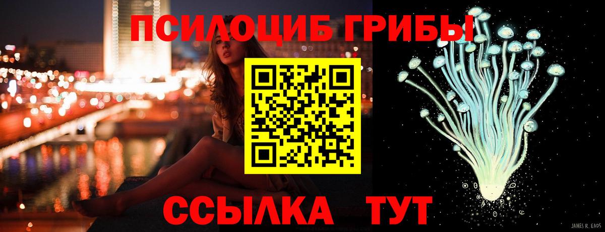 Зима  Псилоцибиновые грибы MAGIC MUSHROOMS  Галлюциногенные грибы MAGIC MUSHROOMS  Вход с VPN 