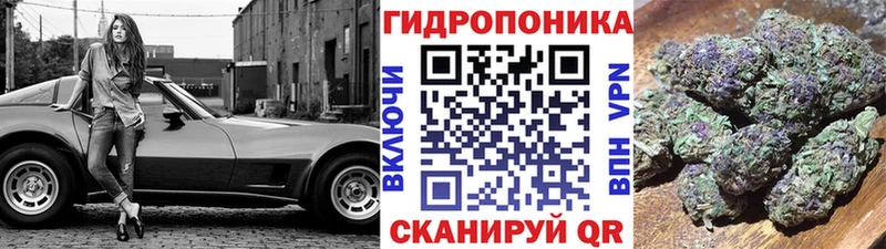 Марихуана марихуана  Зима 
